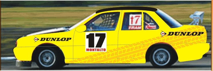 DUNLOP VEHICULO RALLY 2.jpg