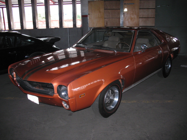 AMX V8 modelo 64
