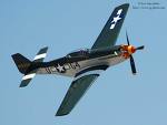P51 Mustang