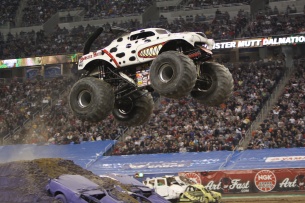 Monster Mutt Dalmation1.jpg