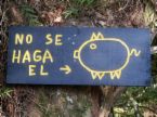 chancho.jpg