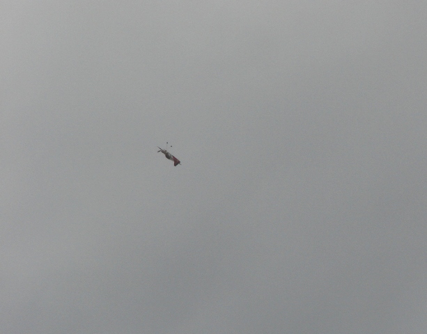 DSC00192.jpg