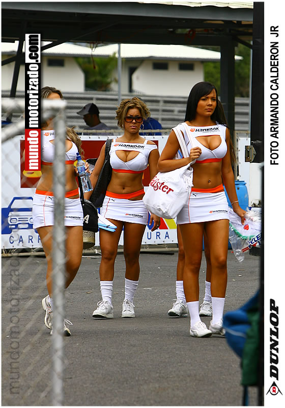 PITBABES.jpg