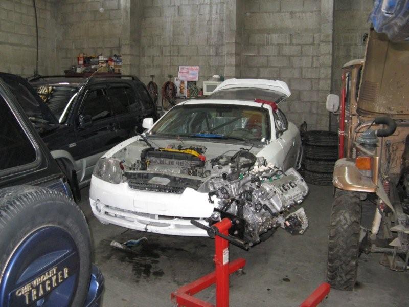 Tiburon en preparación