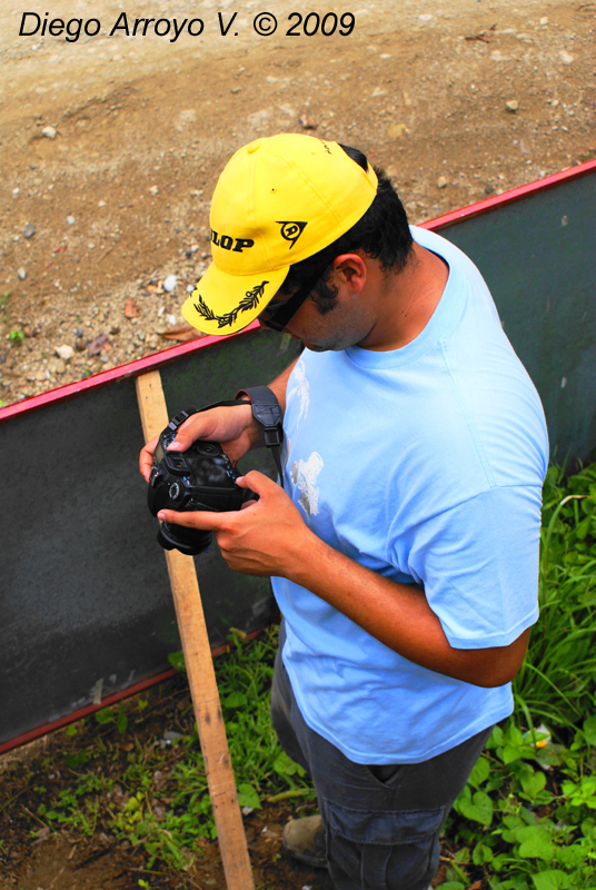 DSC03383(1) copy.jpg