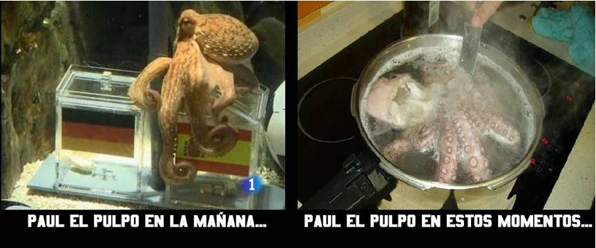 2010-07-08 13 00 10.jpg