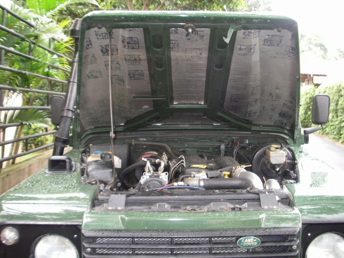 IMGP6167.JPG