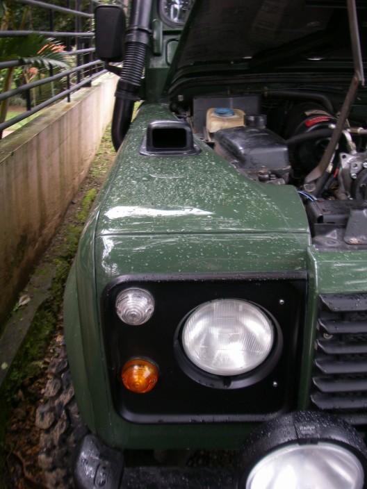 IMGP6173.JPG