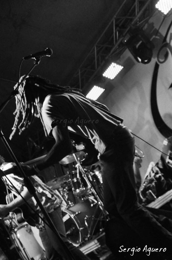 DSC_0362 low res.jpg