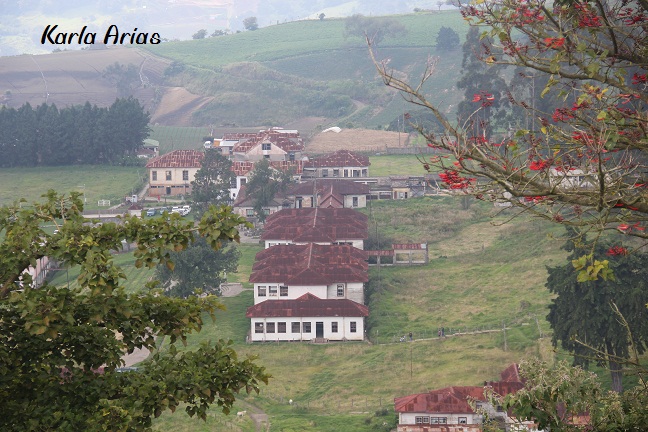 foto para foro 2.jpg