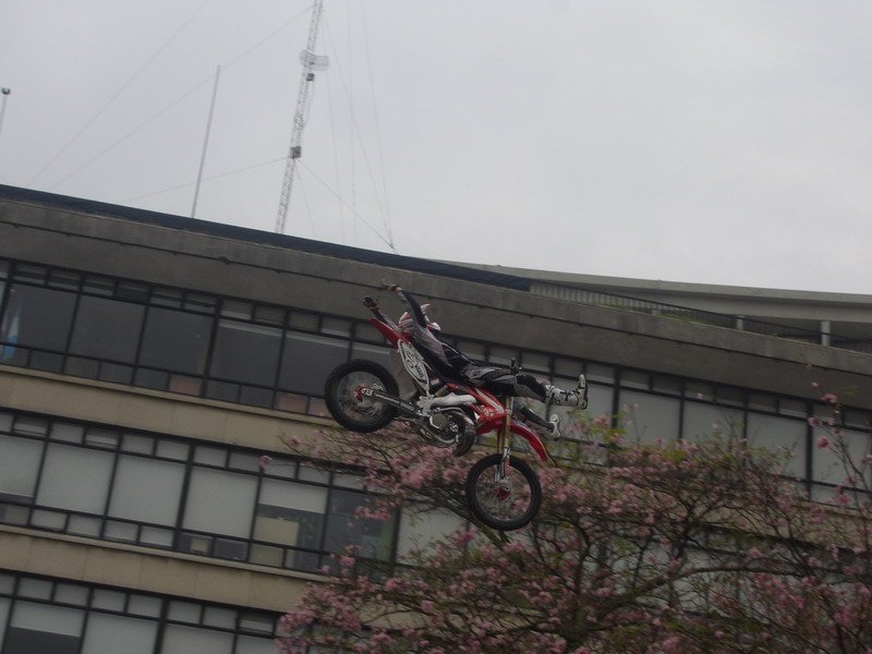 Xfisht 050_resize.jpg