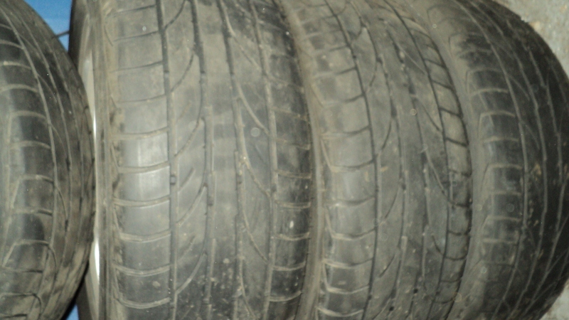 3DSC00624 (800x450).jpg