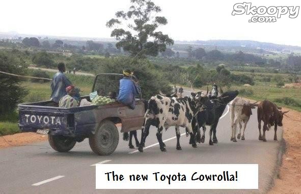Toyota Cowrolla.jpg