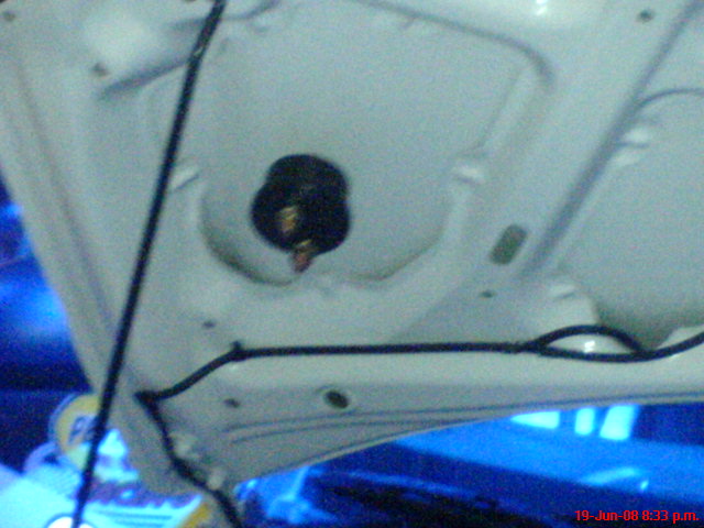 DSC09313.JPG