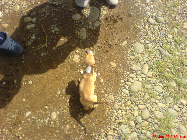 Rally Sarapiqui012.JPG