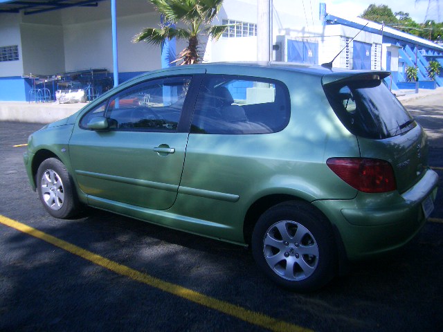 Peugeot_307._002.jpg