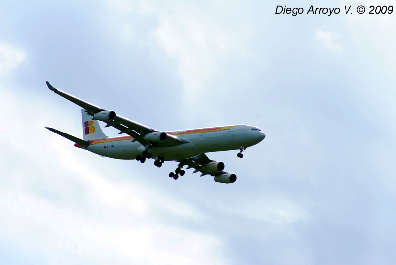 DSC05145(1) copy.jpg