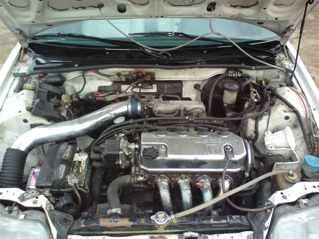 DSC00192 (Small).JPG